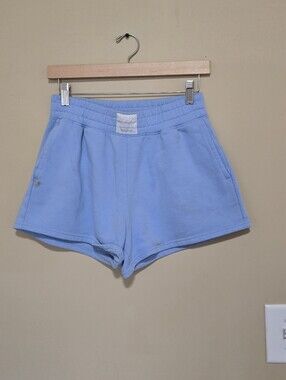 Hollister Light Blue Women's Athletic Lounge Shorts